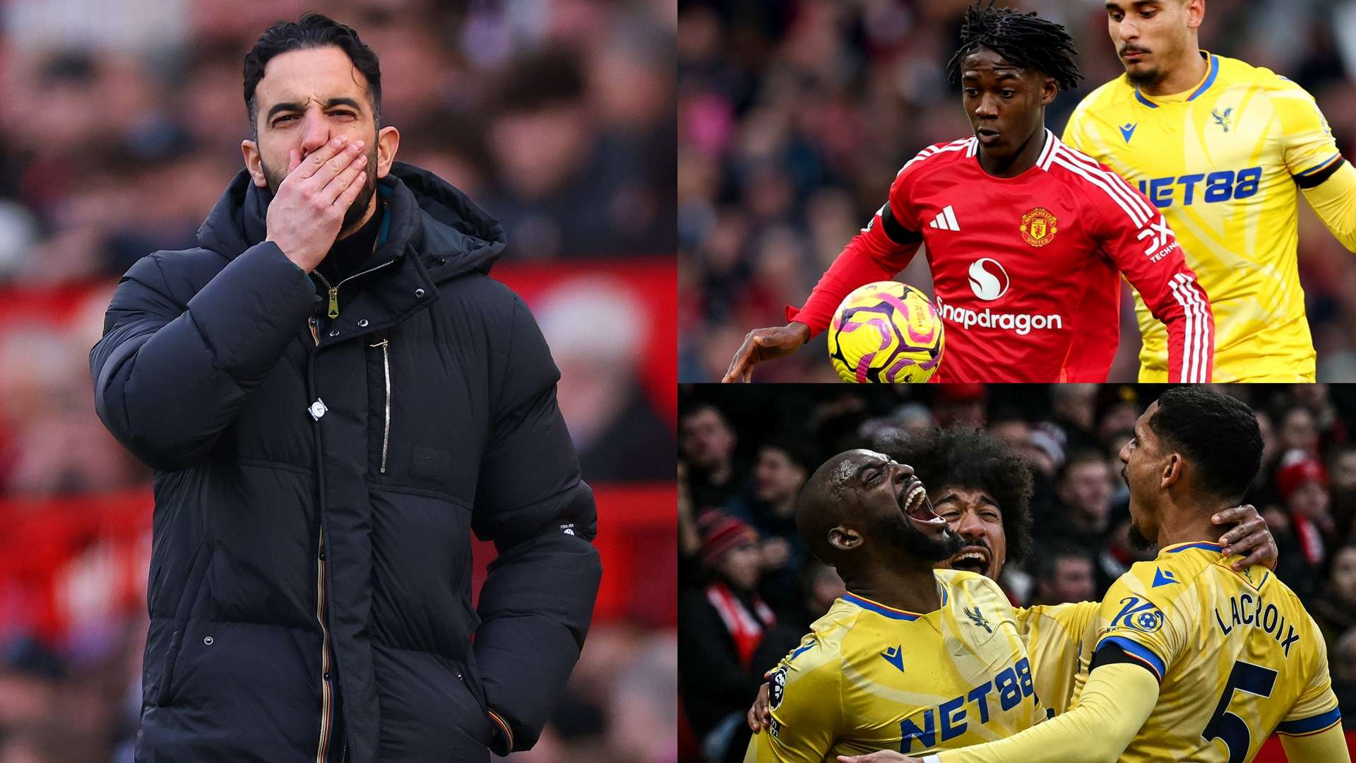 分展示了皮 分展示了皮