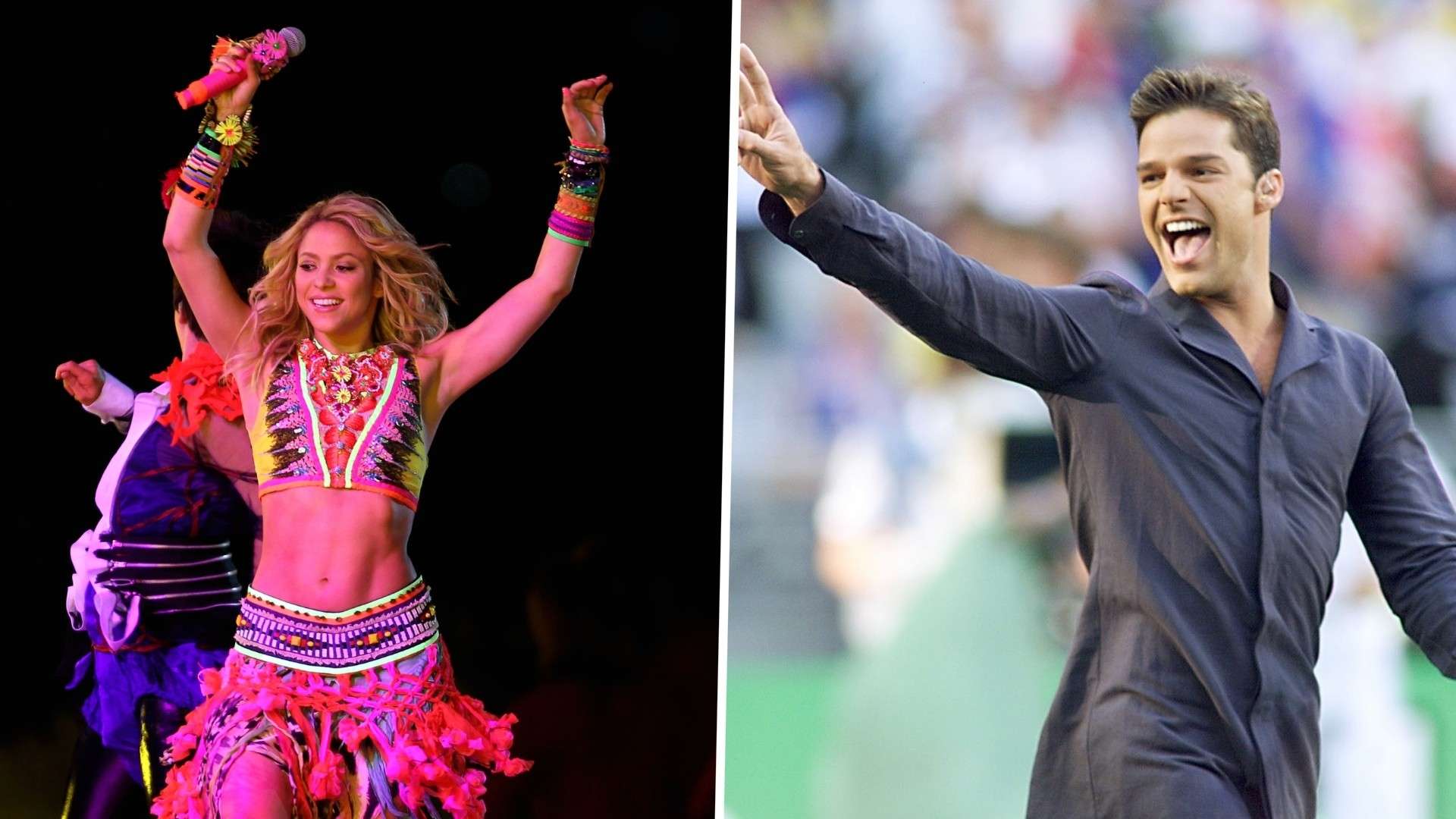 主导的国家 主导的国家